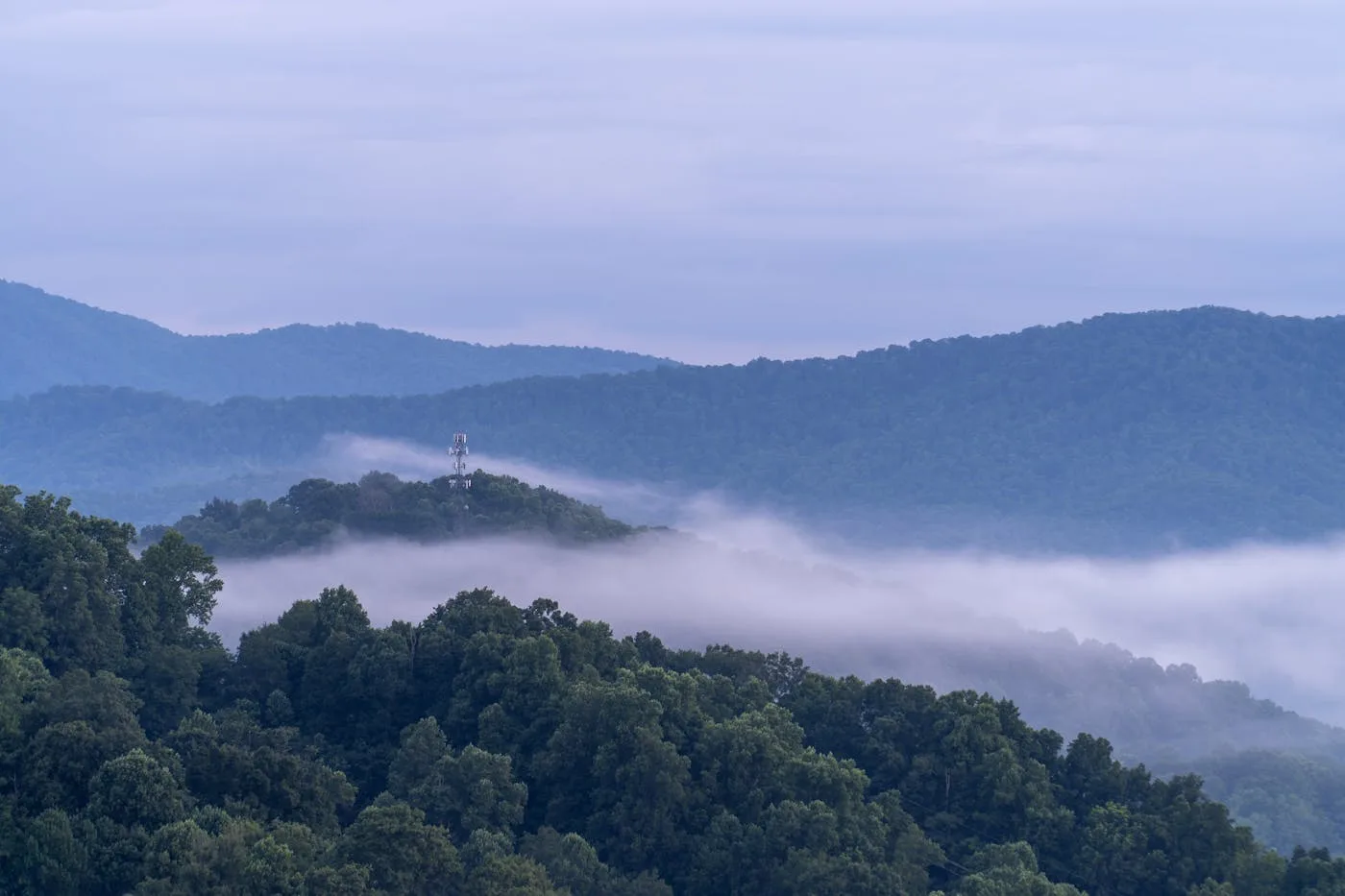 Religious Trauma Support in Asheville: Coach or Therapist?
