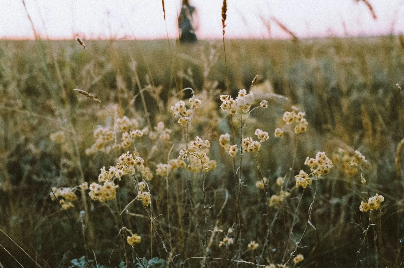 Late Bloomer Lesbian: What Comes After You Know