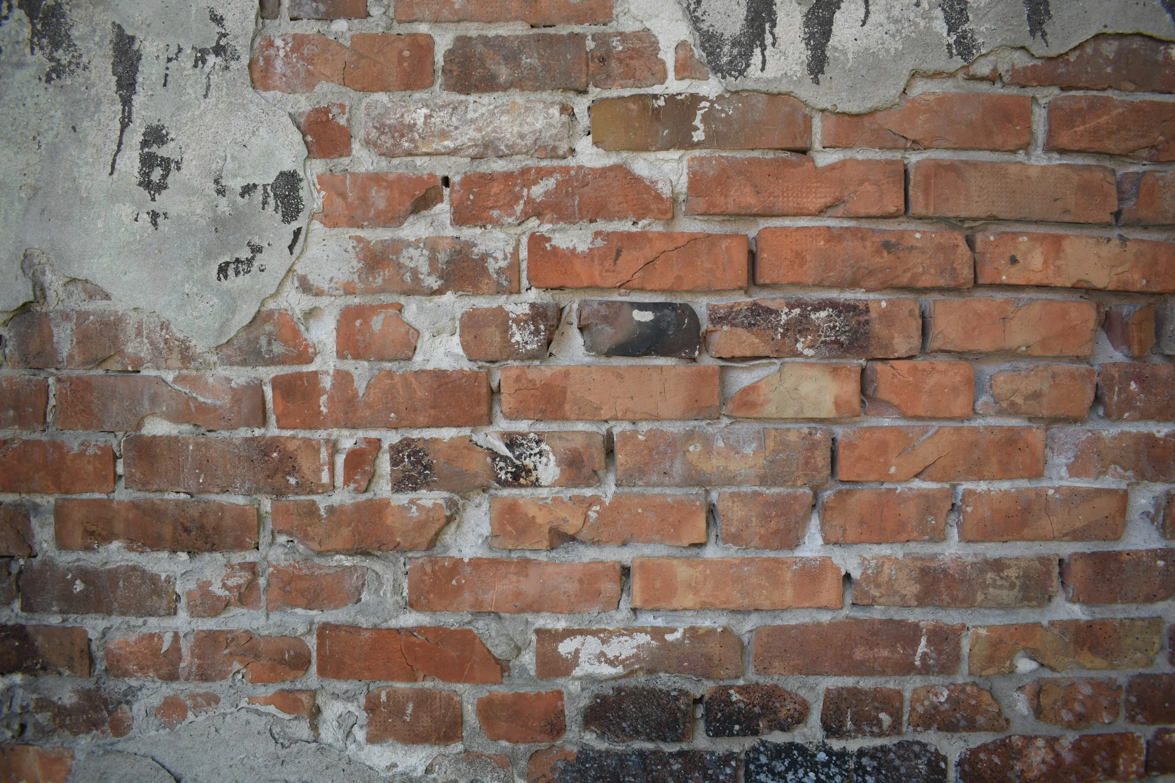 Deconstruction in the Bible Belt Is Its Own Thing