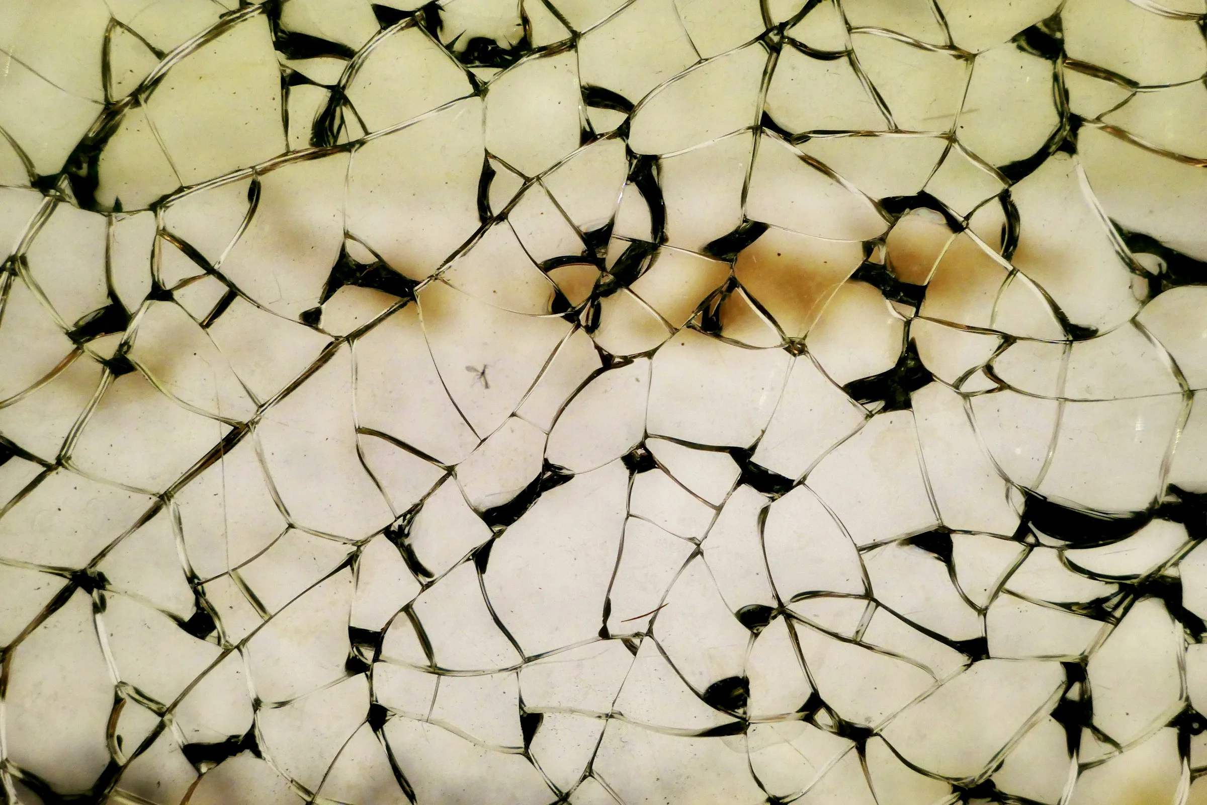 Church Hurt vs. Religious Trauma: What the Difference Actually Does for You