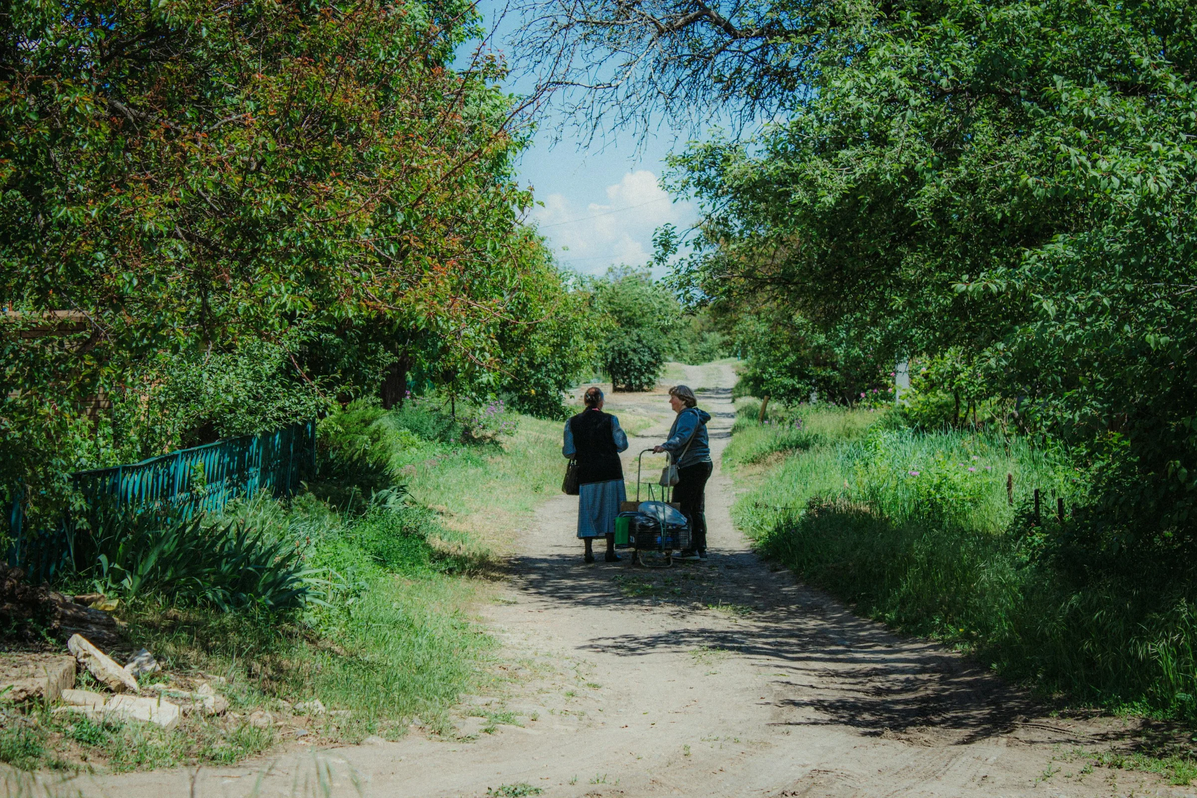 Walk-and-Talk Therapy vs. Coaching: What's the Actual Difference?