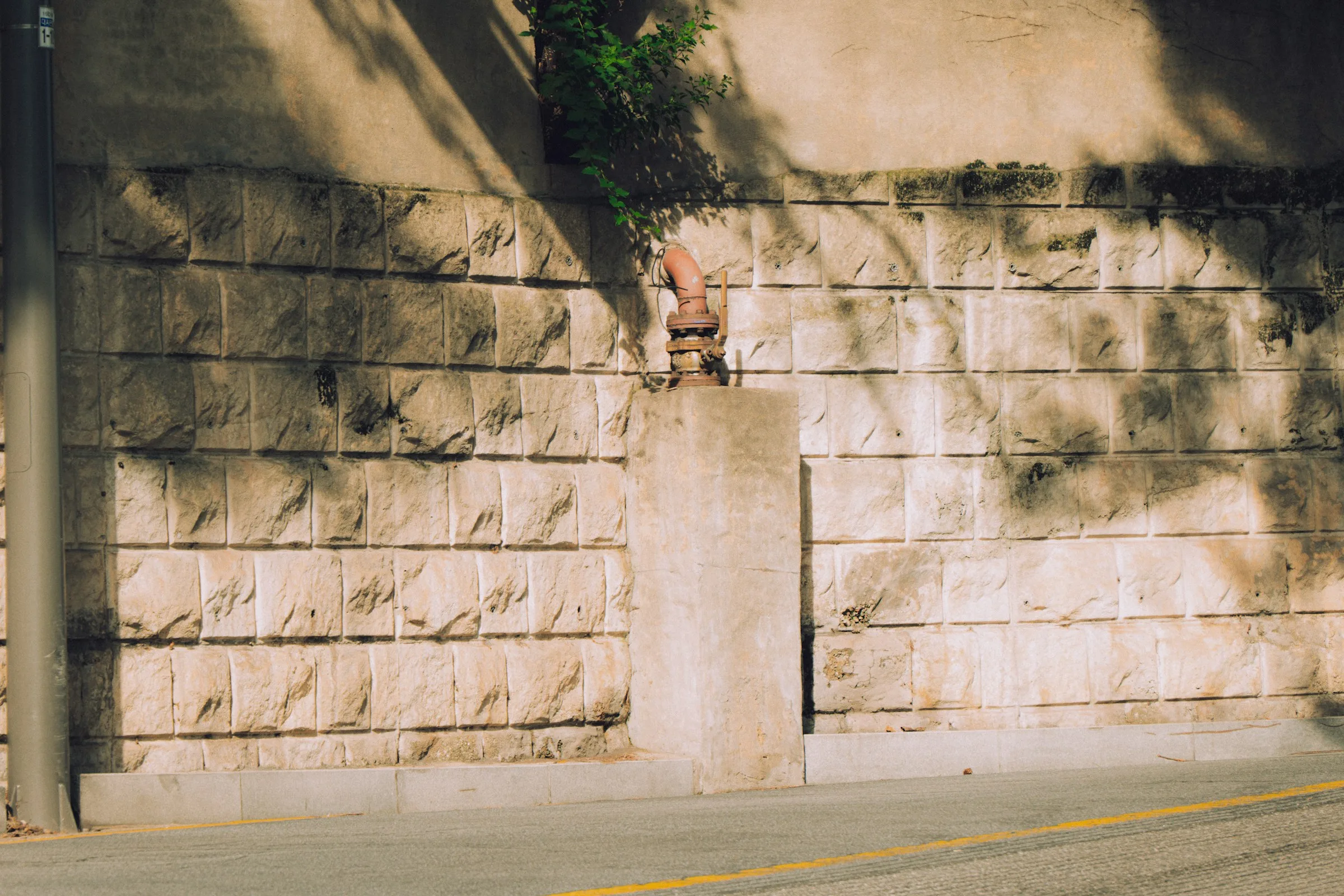 What Evangelical Deconstruction Actually Takes From You